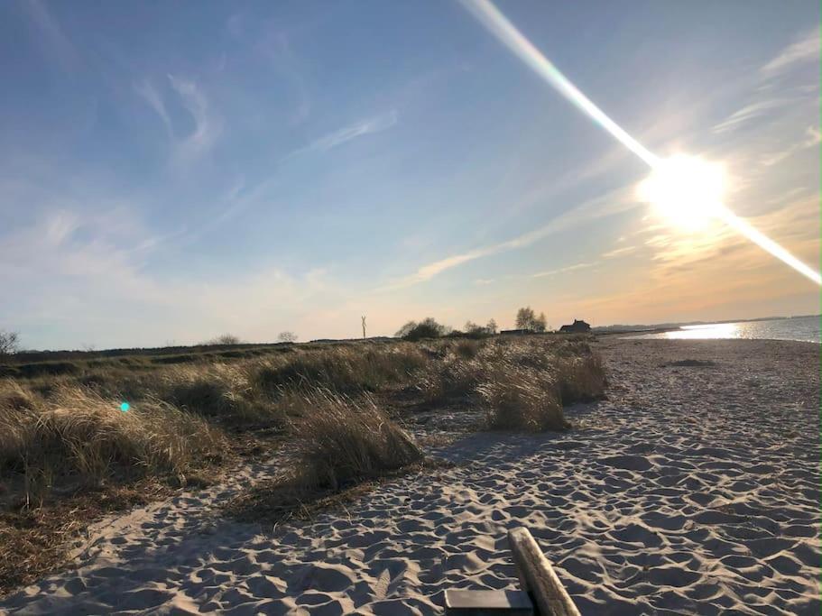 Neue Ferienwohnung Kuestennaehe Mit Terrasse 3Km Zum Strand Osdorf Bagian luar foto